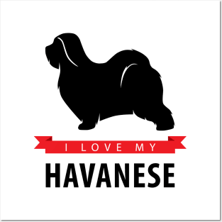 I Love My Havanese Posters and Art